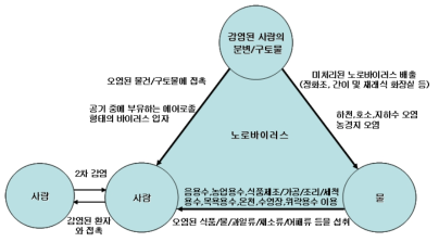 노로바이러스 전파경로