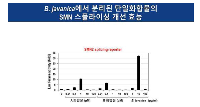 A와 B 화합물에 의한 SMN 스플라이싱 개선 (C33A-SMN2-Luc 리포터 세포)