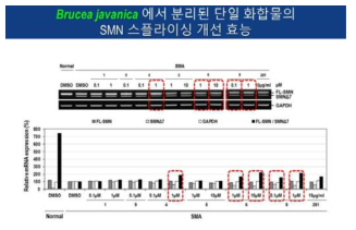 환자유래세포에 8종의 유사화합물을 처리한 후 관찰된 SMN 스플라이싱 개선 효과 (RT-PCR 분석결과)