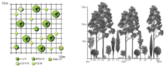 부산 일대의 참조생태계를 바탕으로 조성한 소나무 군락 식재 모델 및 입면도 (Pd: 소나무,Tsj: 검양옻나무, Jr: 노간주나무, Sj: 때죽나무, Tt: 개옻나무, Fs: 쇠물푸레, Rm: 진달래, Zp: 초피나무, Cl: 그늘사초, Ah: 새) * 출처 : 국립생태원, 2017