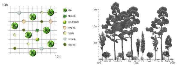 부산 일대의 참조생태계를 바탕으로 조성한 곰솔 군락 식재 모델 및 입면도 (Pt: 곰솔, Ts: 산검양옻나무, Sj: 때죽나무, Ps: 산벚나무, Ej: 사스레피나무, Fs: 쇠물푸레, Rm: 진달래, Lo: 쥐똥나무, Zs: 산초나무, Ry: 산철쭉, Cl: 그늘사초, Ah: 새, Ch: 대세풀, Bi: 바랭이새, Dc: 가는잎족제비고사리) * 출처 : 국립생태원, 2017