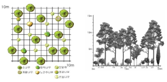 대전 일대의 참조생태계를 바탕으로 조성한 소나무 군락 식재 모델 및 입면도 (Pd: 소나무, Sj: 때죽나무, Tt: 개옻나무, Rm: 진달래, Lo1: 생강나무, Rs: 철쭉, Zs: 산초나무, Sc: 기름새, Cl: 그늘사초) * 출처 : 국립생태원, 2016