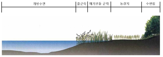 경기도 남양주시 하천형 습지 서식처 원형 모습 (넥서스, 2017)