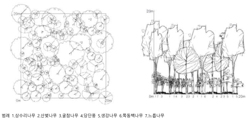 경기광주역세권 생태형공원 – 상수리나무 군락 모델(김종엽, 2007)