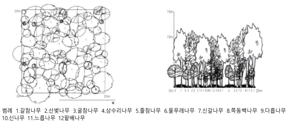 경기광주역세권 생태형공원 – 갈참나무·산벚나무 군락 모델(김종엽, 2007)