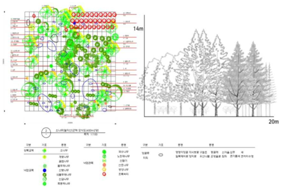 경기광주역세권 생태형공원 – 편백나무 군락 모델(국립생태원, 2013)