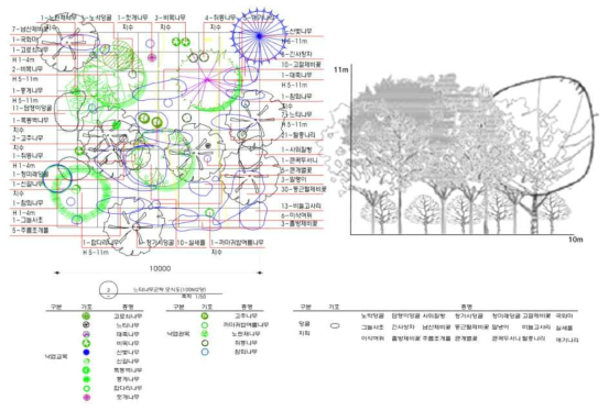 경기광주역세권 생태형공원 – 느티나무 군락 모델(국립생태원, 2013)