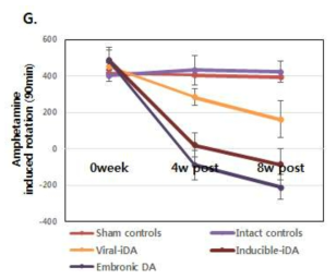 Amphetamine 유도한 도파민성신경의 흥분을 유도하였을 때, 직분화세포의 이식으로 인해, 흥분성에 반응하는 roatation behavior 가 급격히 적어짐을 확인할 수 있었음