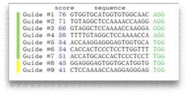 alpha-SNCA A53T를 위한 예상되는 sgRNA 후보. 파란색 스코어가 높을수록 CRISPR-Cas9의 효율이 높을 것으로 예상됨. 초록색 염기성열은 PAM sequence를 나타냄
