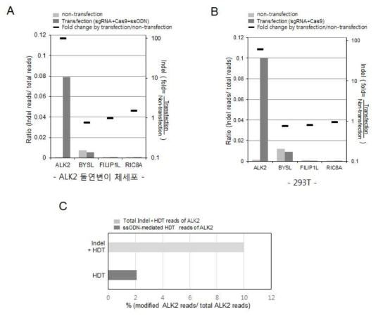 ALK2-sgRNA에 의한 on target과 off target 빈도, 그리고 HDR 효율을 deep sequencing으로 확인. ALK2 돌연변이 체세포 샘플 (A), 293T세포 샘플 (B), 그리고, ALK2 돌연변이 체세포에서 HDR 효율 (C)