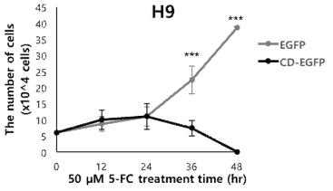 The number of live cells at 48 hr after 5-FC treatment. Trypan blue was used for counting live cells. ***P < 0.001 by Student’s t-test