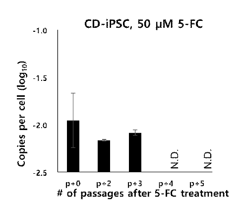 Quantitative PCR analysis of total residual episomal vectors in CD-iPSC with 50 μM 5-FC. N.D.; Not Detected