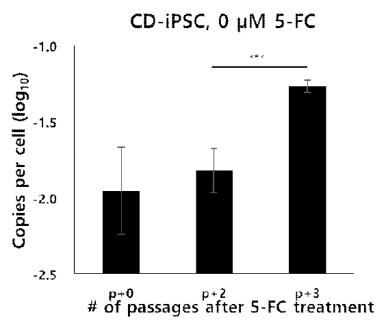Quantitative PCR analysis of total residual episomal vectors in CD-iPSC without 5-FC. ***P< 0.001 by Student’s t-test