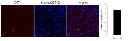 Viral infected cells are only ~3 %