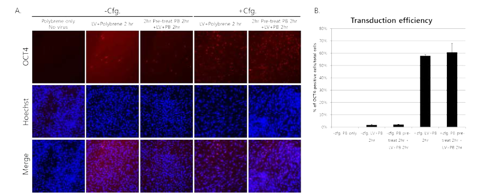 Transduction efficiency is greatly increased under centrifugation condition