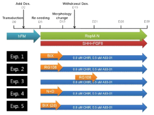 Scheme for #140 experiment to test BIX01294 and RG108, epigenetic modifiers