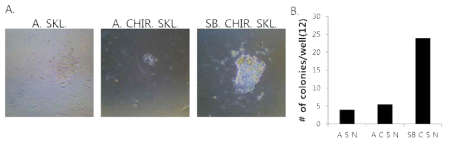 Treatment of SB431542 is better than treatment of A83-01 for reprogramming efficiency