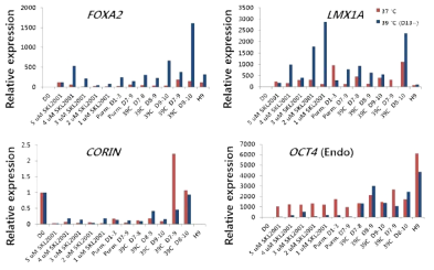 qRT-PCR analysis of #155 experiment for DP marker genes and pluripotency marker gene