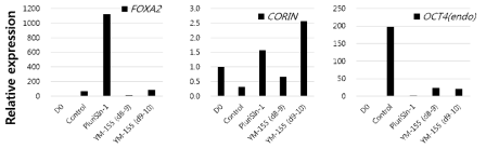 qRT-PCR analysis of #156-1 experiment for DP marker genes and pluripotency marker gene