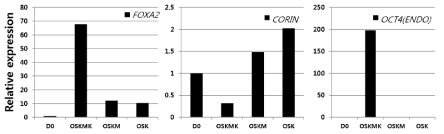 qRT-PCR analysis of #156-2 experiment for DP marker genes and pluripotency marker gene