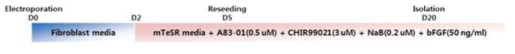 Schema for reprogramming of fibroblast to iPSC