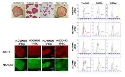 AP staining, ICC, FACS analysis of PD-iPSCs