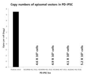 Confirmation of DNA integration in PD-iPSCs