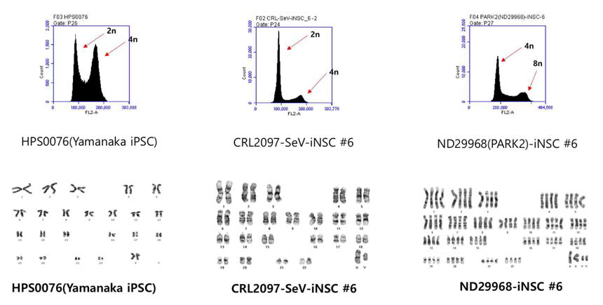 Ploidy analysis and karyotype analysis of reprogrammed cells