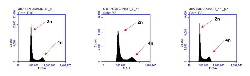 Cell ploidy analysis of PARK2-iNSC