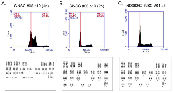 Karyotype analysis and PI staining data analysis for ND38262 (LRRK2)-iNSC. SiNSC #05 p10 and SiNSC #06 p10 were used as control