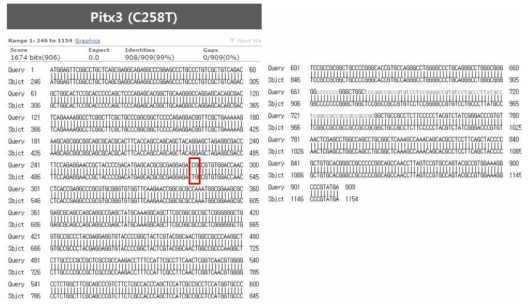 Check the sequence of clone with reference sequence (PITX3)