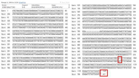 Check the sequence of clone with reference sequence (pCXLE-LMX1A, CDS)