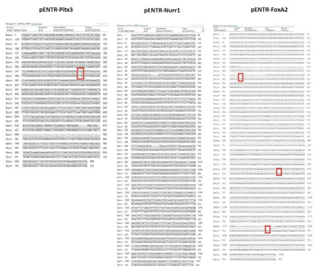 Check the sequence of clone with reference sequence (pENTR-PITX3, -NURR1, -FOXA2, CDS)