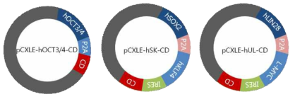 Episomal vectors containing CD gene