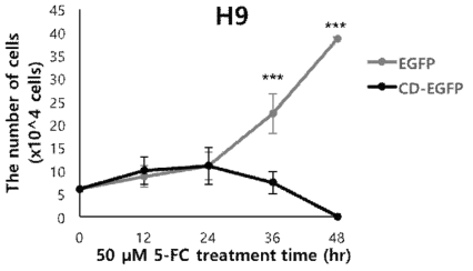 The number of live cells at 48 hr after 5-FC treatment. Trypan blue was used for counting live cells. ***P < 0.001 by Student’s t-test