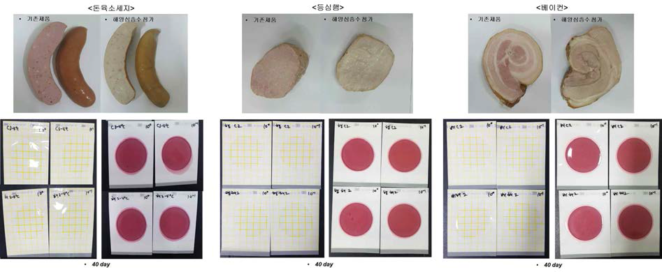 돈육 소세지, 등심햄, 베이컨에서 40일차의 세균분포
