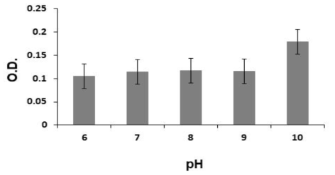 pH에 따른 Arthrospira platensis의 생장