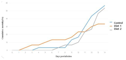 Vibrio harveyi 공격실험에 따른 14일간의 누적폐사율 결과 추이