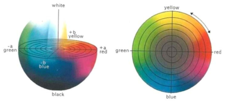CIE Lab 표색계