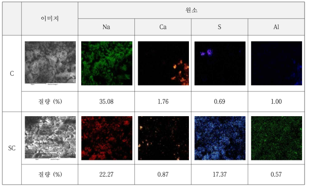 백화물질의 EDS 분석결과