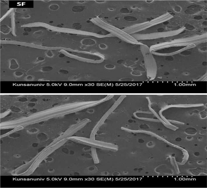 Steel Wool Fiber 주사전자현미경 시험결과1