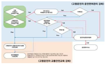 고령운전자 운전능력 평가시스템 활용 및 면허관리 제도 강화 방안(안)