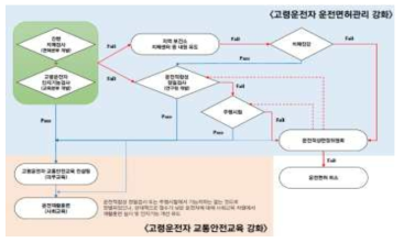 고령운전자 운전능력 평가시스템 활용 및 면허관리 제도 강화 방안(안)