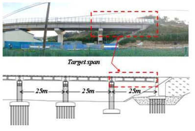 Bridge for field measurement