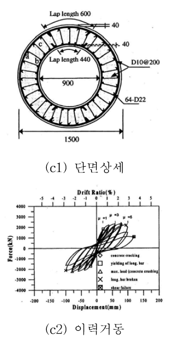 PI2-C 실험체