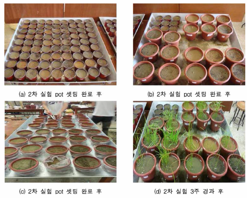 실험 pot 셋팅 과정