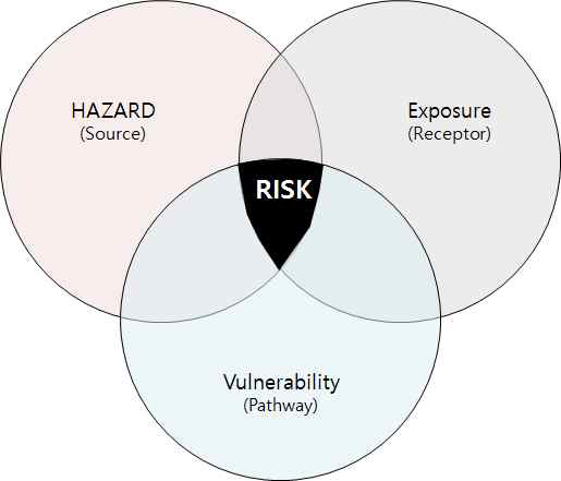 Risk Concept