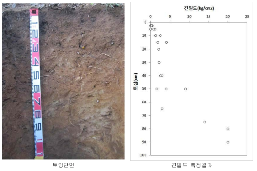 소형동적콘관입시험지의 토양단면과 견밀도 측정결과