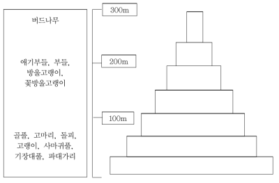 습지식물의 층 구조를 나타내는 모식도(8-9월)