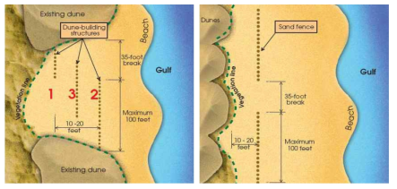 텍사스 사구 구조물(모래 포집기) 조성 방법 (중첩된 사구형성 구조물(좌)과 전사구 형성(우))
